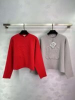 Loewe sweatshirt