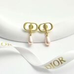 DIOR earrings high-end version - Image 6