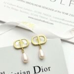 DIOR earrings high-end version - Image 4