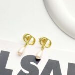 DIOR earrings high-end version - Image 2