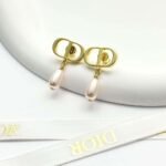 DIOR earrings high-end version