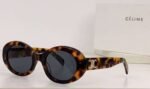 Celine Arc de Triomphe Sunglasses - Image 5