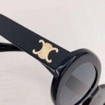 Celine Arc de Triomphe Sunglasses - Image 9