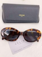 Celine Arc de Triomphe Sunglasses - Image 11
