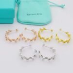 Tiffany earrings premium edition - Image 2