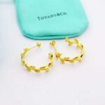 Tiffany earrings premium edition - Image 5