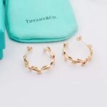 Tiffany earrings premium edition - Image 6