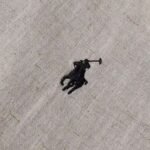 Ralph Lauren Shirt Premium Edition - Image 13