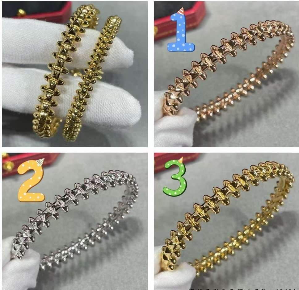 微信图片_20250222161010.jpg Cartier Bullet Bracelet - Image 1