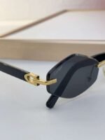 Cartier Sunglasses Premium Edition - Image 13