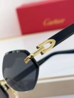 Cartier Sunglasses Premium Edition - Image 12