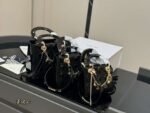 DIOR Princess Diana bag lacquered material - Image 8