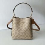 Coach Mollie Small Bucket Bag Premium version Size: 22x20x10cm