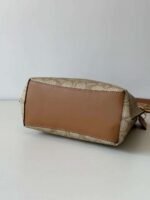 Coach Mollie Small Bucket Bag Premium version Size: 22x20x10cm - Image 6